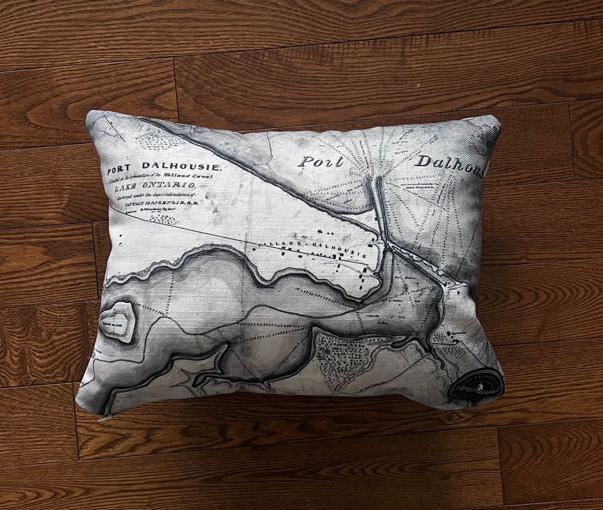 Map Pillow